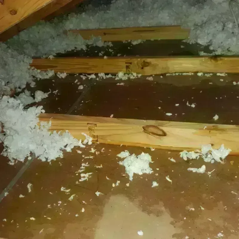 Attic Water Damage in New Beaver, PA